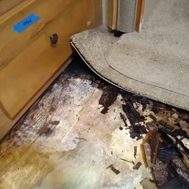 Wood Floor Water Damage in Marlow Heights, MD